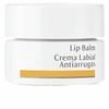 Anti-wrinkle Lip Cream Dr. Hauschka Lip Balm 4,5 ml