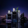 Men's Perfume Aramis Intuition Intense EDP 50 ml