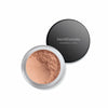 Facial Corrector Shine Inline Mineral Veil 9 g