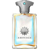 Men's Perfume Amouage Portrayal Man EDP 50 ml Portrayal