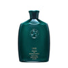 Shampoo Oribe 811913011713 250 ml