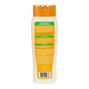 Shampoo and Conditioner Cantu 07987-12/3UK Avocado oil