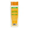 Shampoo and Conditioner Cantu 07987-12/3UK Avocado oil