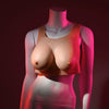 Breast prostheses Gender X