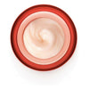 Lifting Effect Moisturising Cream Vichy LIFTACTIV 50 ml