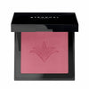 Blush Stendhal MAKE-UP STENDHAL PARIS Nº 303 Rose Marrakech 5,5 g