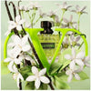 Women's Perfume Valentino Donna Born in Roma Green Stravaganza EDP