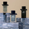 Men's Perfume Burberry Mr. Burberry EDP 100 ml