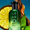 Men's Perfume BOSS BOSS BOTTLED 50 ml