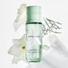 Body Mist Calvin Klein CK COTTON MUSK 236 ml