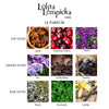 Women's Perfume Lolita Lempicka Le Parfum EDP 50 ml