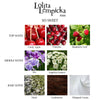 Women's Perfume Lolita Lempicka SO SWEET EDP 30 ml
