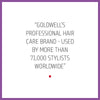 Shampoo Goldwell Blondes Highlights