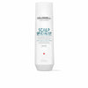 Anti-dandruff Shampoo Goldwell Scalp Specialist 250 ml