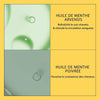 Shampoo and Conditioner Nioxin
