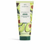 Body Lotion The Body Shop Avocado Avocado