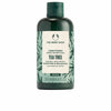 Conditioner The Body Shop TEA TREE PURIFYING & BALANCING 250 ml