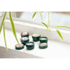 Lip Balm The Body Shop Mango 10 ml