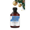 Purifying Shampoo Davines Regulador 1 L