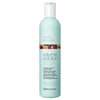Volumising Shampoo Milk Shake HAIR CARE 300 ml