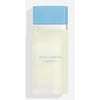Women's Perfume Dolce & Gabbana LIGHT BLUE POUR FEMME EDP 50 ml