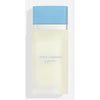 Women's Perfume Dolce & Gabbana LIGHT BLUE POUR FEMME EDP 50 ml