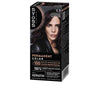Hair Mask Syoss PERMANENT COLOR