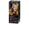 Hair Mask Syoss PERMANENT COLOR