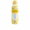 Menstrual Cup Vagisil LIMPIEZA Y FRESCURA (Parapharmacy)