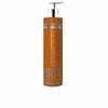 Hair Mask Nature- Plex Treatment Abril Et Nature instant (200 ml)