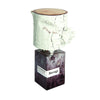Unisex Perfume Nasomatto BLAMAGE 30 ml