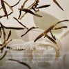 Cosmetic Set Rituals THE RITUAL OF KARMA 5 Pieces