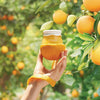 Facial Cream Frudia Citrus